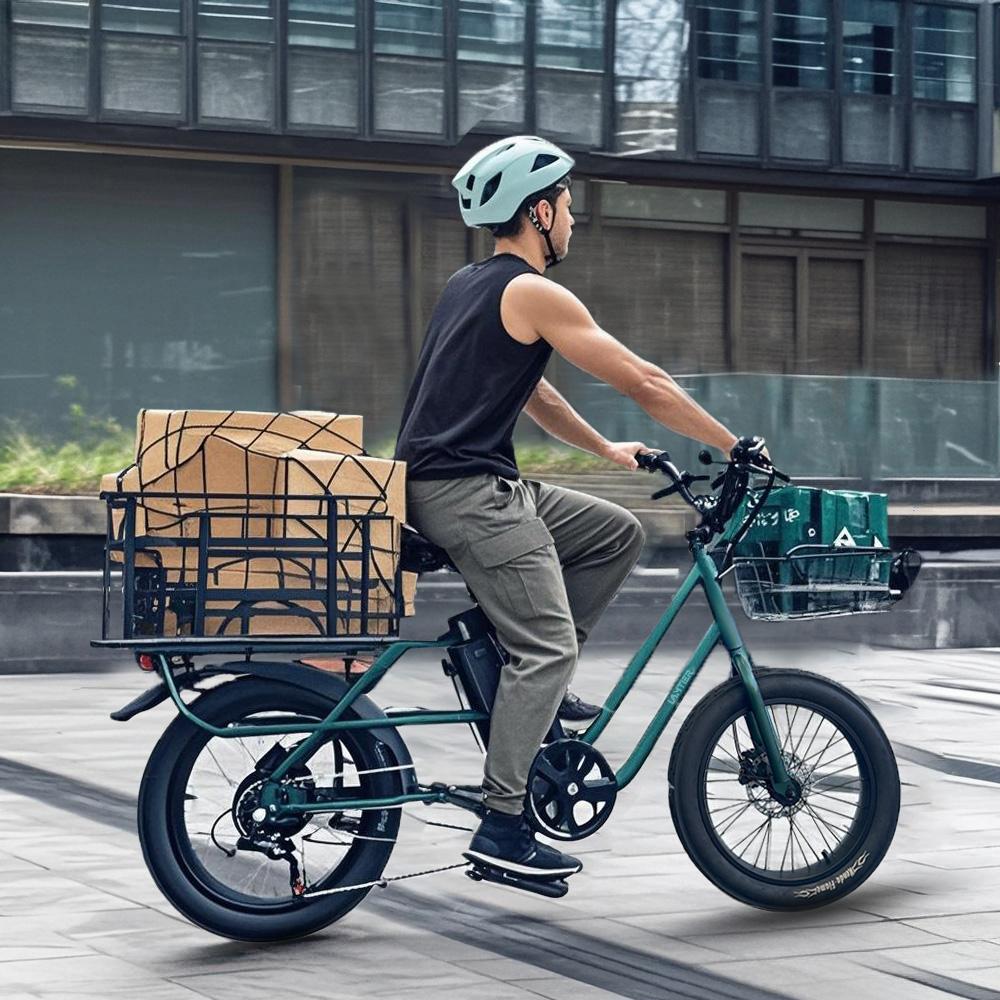 Elektrofahrräder Lamiter 20" 750W 48V 20.8AH Erwachsenen E-Bike Höchstgeschwindigkeit 45Km/h Maximale Reichweite 120Km Zuladung 300Kg K750