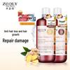 Zhuolanya Ginger Anti-Hair Loss Shampoo & Conditioner Set