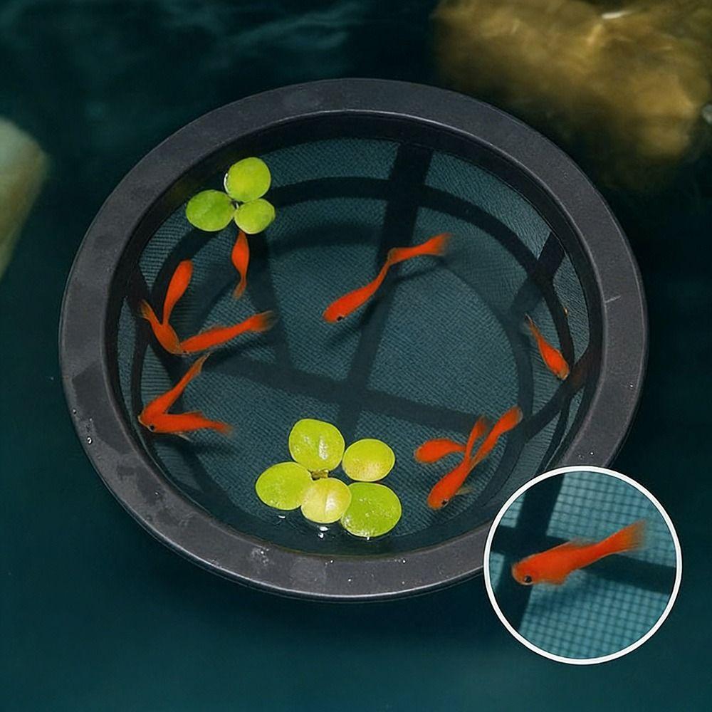 Floating Fish Fry Cage Large Capacity Reusable Fish Fry Isolation Box Aquarium Filters