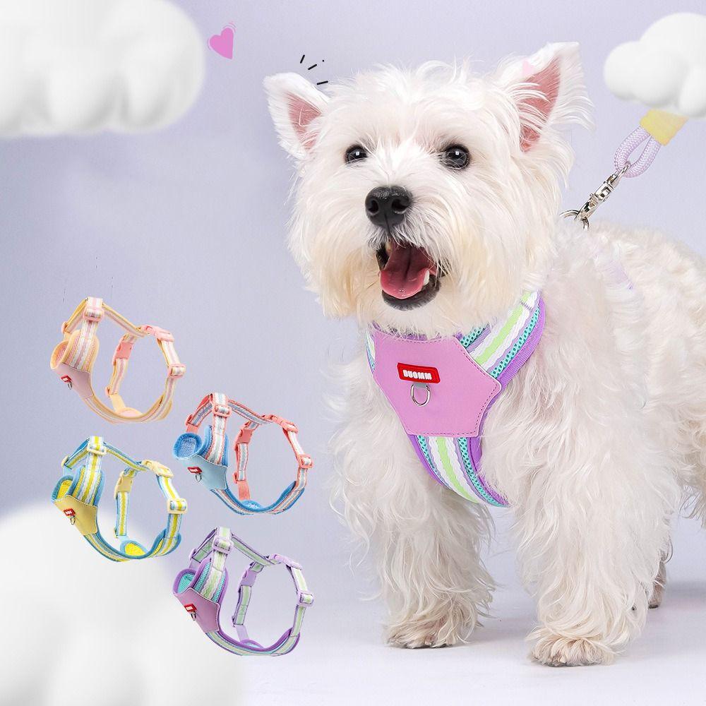 with Traction Rope Pet Walking Vest Padded Cat Jacket Harness Cat Walking