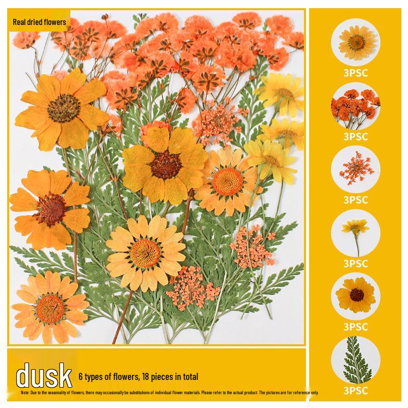 Handmade Resin Pressed Flower Bookmark DIY Kit: Transparent Specimen Stickers & Dried Flowers for Students