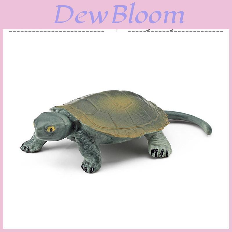 Aquatic Reptile Tortoise Pvc Model Set With Realistic Detailing For Educational Collection