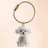 Transparent Cat Hair Storage Box Charm Gacha Cat Hair Storage Capsule Commemorative Collection Bag Keychain Pendant