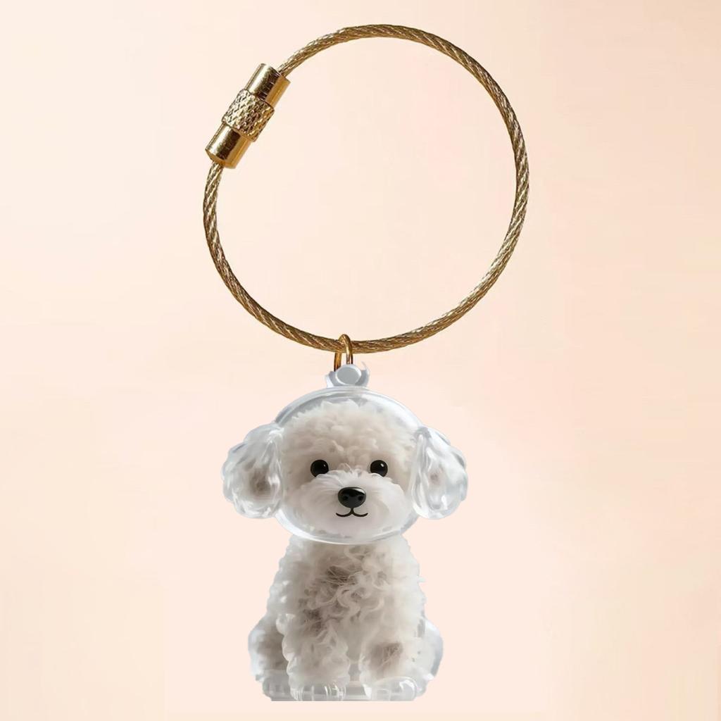 Transparent Cat Hair Storage Box Charm Gacha Cat Hair Storage Capsule Commemorative Collection Bag Keychain Pendant
