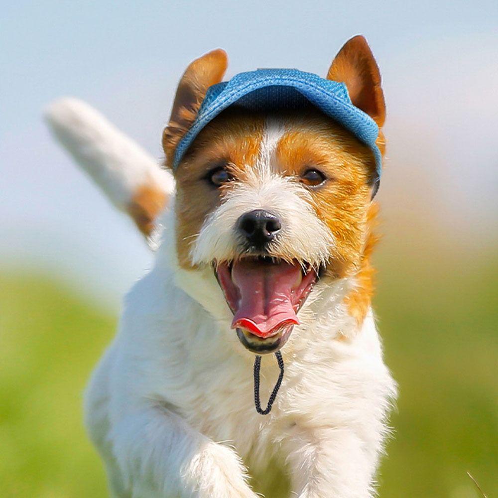 Adjustable Pet Baseball Hat Solid Color Dogs Sun Hat Sun Bonnet Dog Cap  Sports