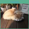 Tier Plüsch Katze Modell mit Kunstfell für Heimdeko und Foto-Requisiten
