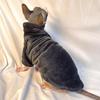 Hairless Sweater Hairless Hoodie Hairless Coat Sphynx Hoodie