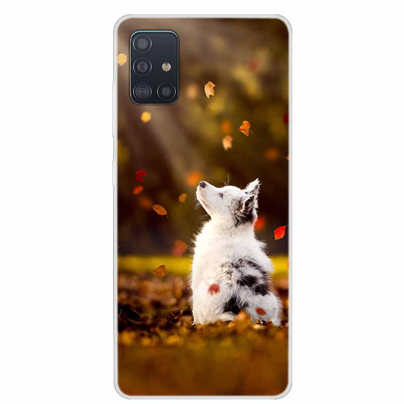 For Coque Samsung Galaxy A71 A51 M31 Case M31S Soft Silicone Back Case for Samsung A71 M31S Cover A 51 Shockproof Case M31 Cover