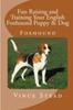 Libro Fun Raising And Training Your English Foxhound Puppy Dog by Vince Stead - Paperback