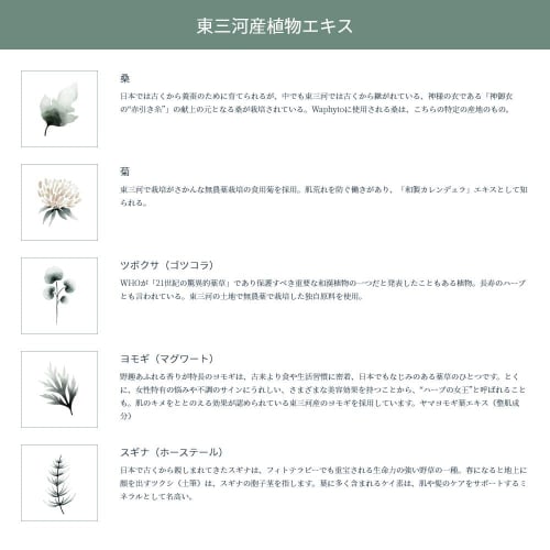 Official Waphyto Hand Cream Balance 40g