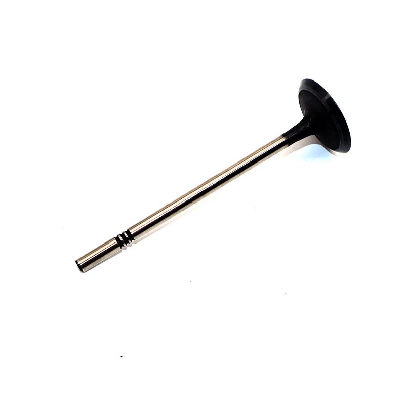 Motorzylinder Einlassventil Auslassventil für SAIC MG MG3 MG360 Roewe360 1.5L 10284645 10284644 Autozubehör