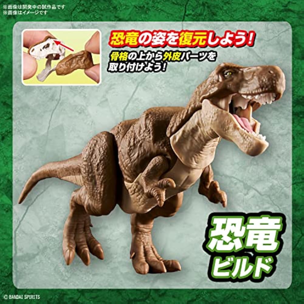 BANDAI SPIRITS (Bandai Spirits) Planosaurus Tyrannosaurus Color Coded Plastic Model