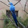 25/35cm Handmade Artificial Parrot Cute Bird Designer Decor Weeding Gift Party Garden Home Decoration