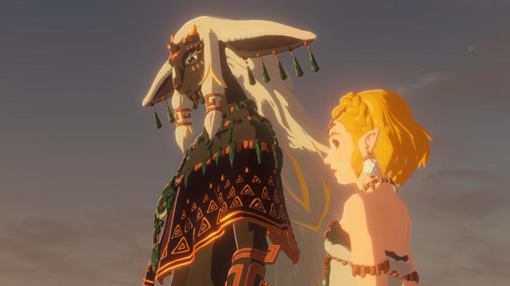 Hyrule Zeitalter der Gefangennahme Nord Switch 2 Krieger (Importierte Version Amerika) –