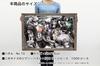 Ensky 1000 Piece Jigsaw Puzzle One Piece Landing (50x75cm)