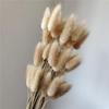 Yunnan Dried Flowers Bouquet - Rabbit Tail Grass