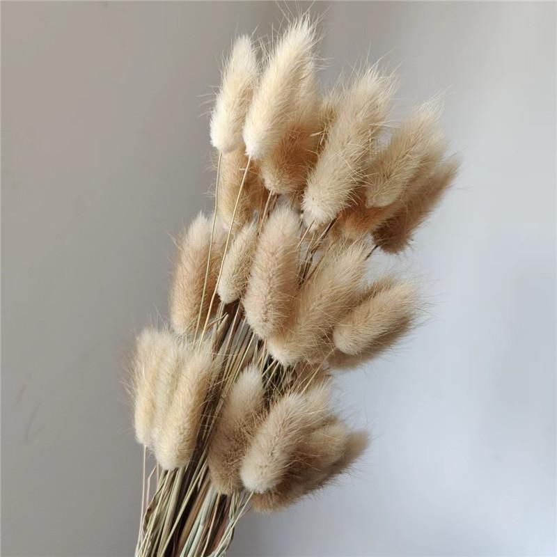 Yunnan Dried Flowers Bouquet - Rabbit Tail Grass
