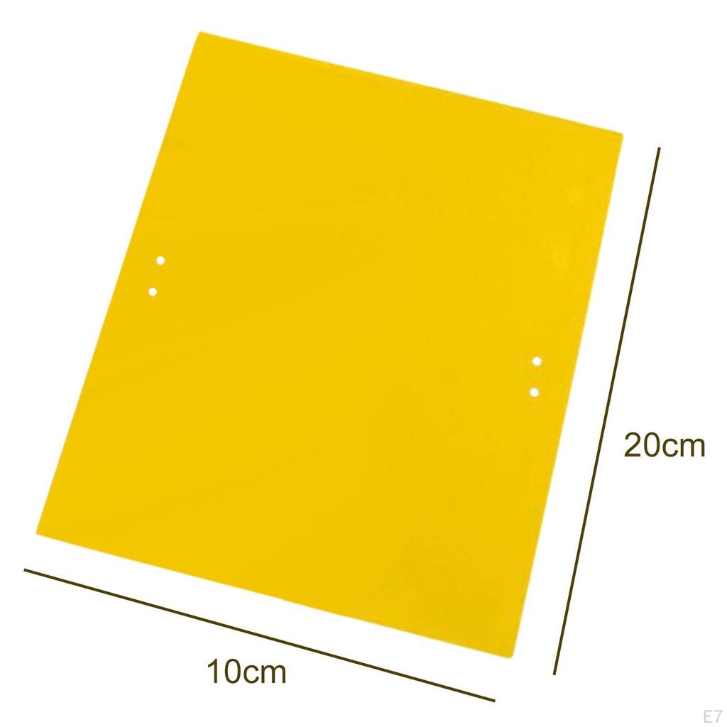 Outdoor Sticky s Fly Catcher Bug Fruit Gnat