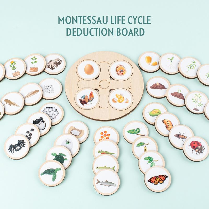 Wooden Life Cycle Tray Animal and Plant Life Cycle Change Puzzle Enlightenment Educational Toys