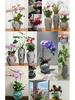 Wabi-Sabi Zen Mottled Ceramic Vase: Rough Pottery Bottle for Retro Flower Arrangements & Hydroponics