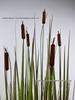 Oriental Cattail Artificial Plant for Yard and Garden Decor
