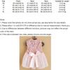 Sequin Pet Princess Dress Lace Bow Dog Tulle Skirt Pet Wedding Dresses  Party Wear