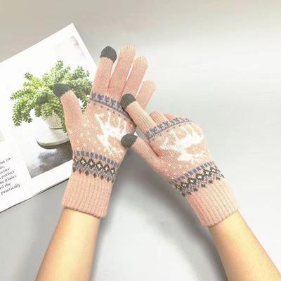 Handschuhe Damen Winter Touchscreen Verdickt Warm Süß Niedlich Student Cartoon Radfahren Fahrrad Wolle Fünffinger Winter Koreanische Version