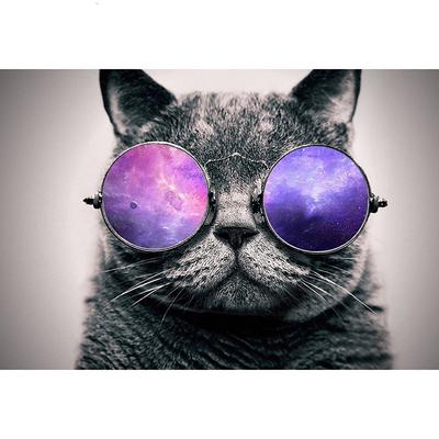 Pittura diamante Punto croce Gatto con gli occhiali Diamante rotondo mosaico 5D fai da te