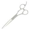 DEEDS GTZ Scissors and Thinning Shears Set by Japanese Scissors Professional Hairdressing Scissors [PF] (6.0 Inches) (6.0 Inches) Manufacturer,