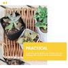 OUNONA Stylish Black Plastic Plant Set with for Succulents and Gardening Supplies Small, Mini, Pots, 15-Piece Holes, Square, Cacti, Lightweight,
