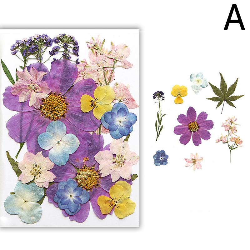 Dried Flowers Real Natural Plant Pressed Flower For Epoxy Resin Filling DIY Nail Art Handicrafts Jewelry Making Craft