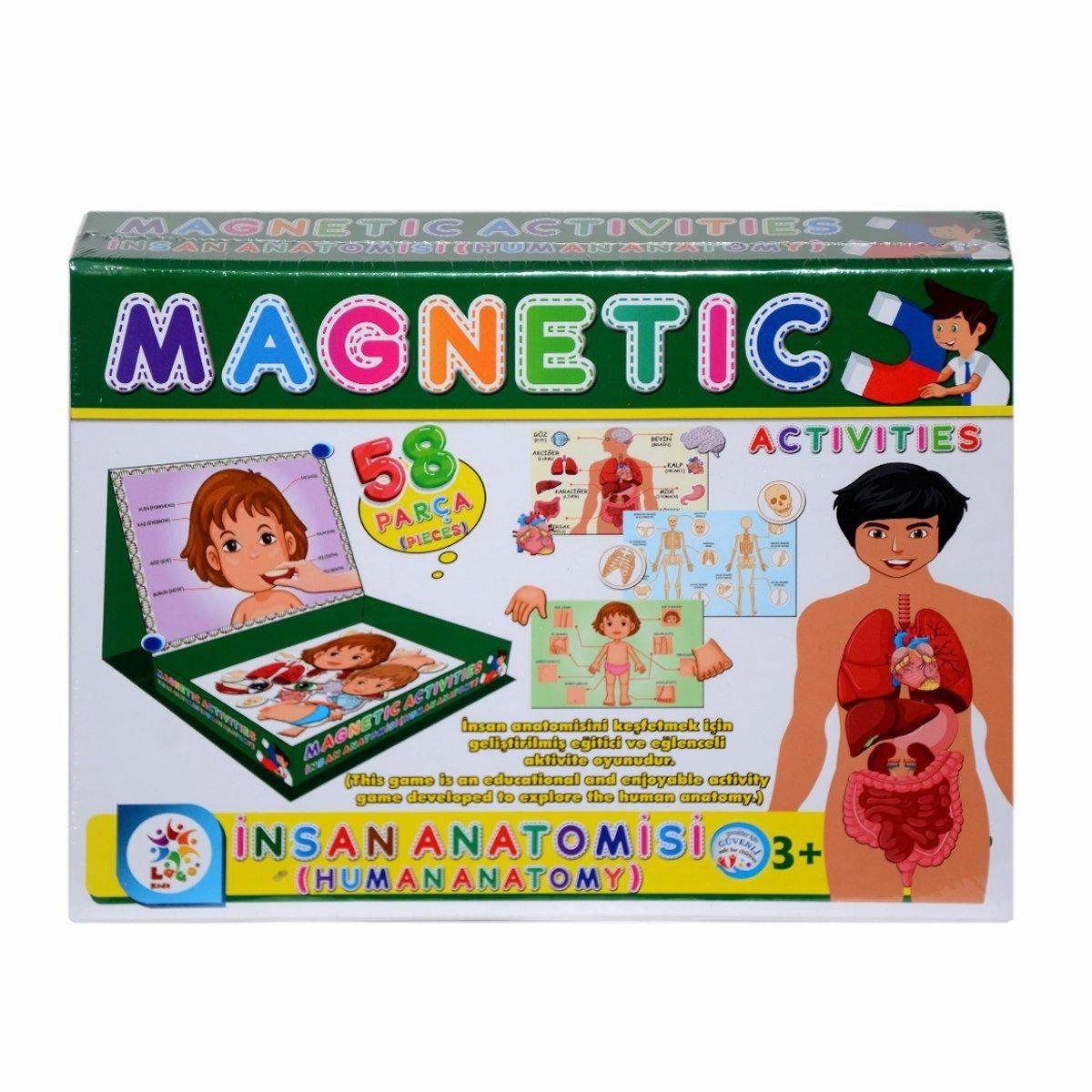 

LC7171 Magnetic Activities Human Anatomy