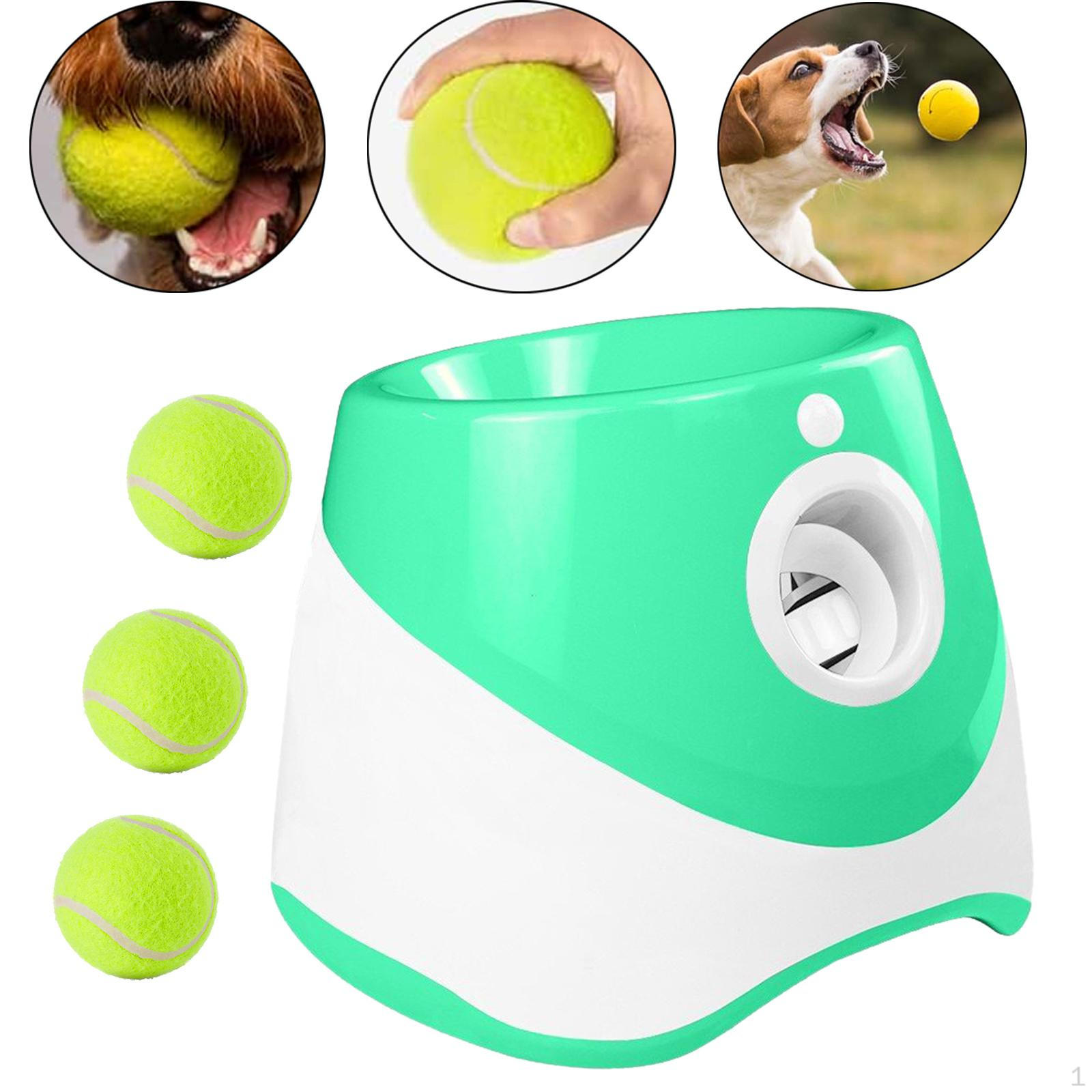 3 Pieces Automatic Ball Launcher Dog