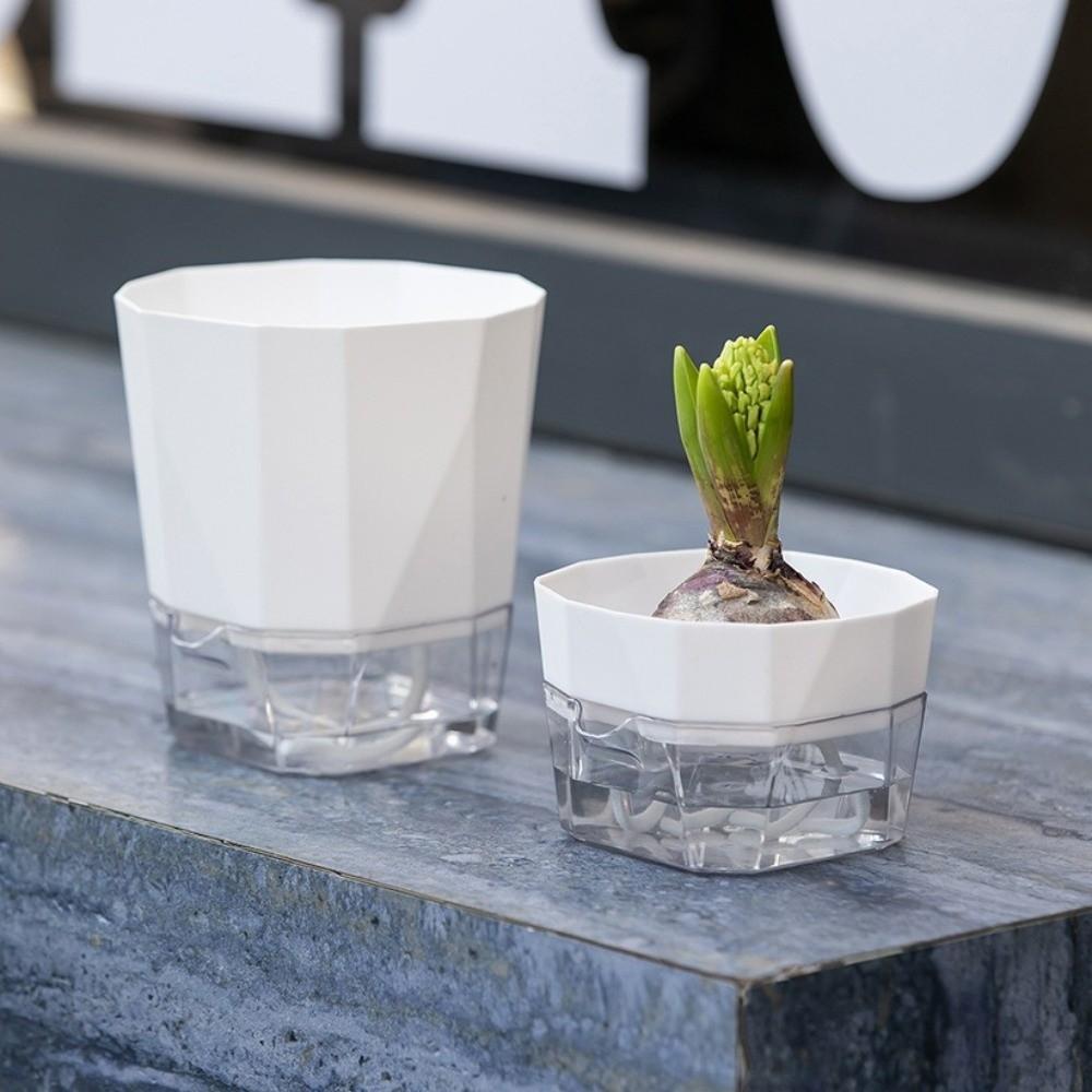 6PCS Root Visibility Hydroponic Container Eco-Friendly Plastic Butterfly Orchid Flowerpot Water Storage Lazy Flowerpot Hyacinth