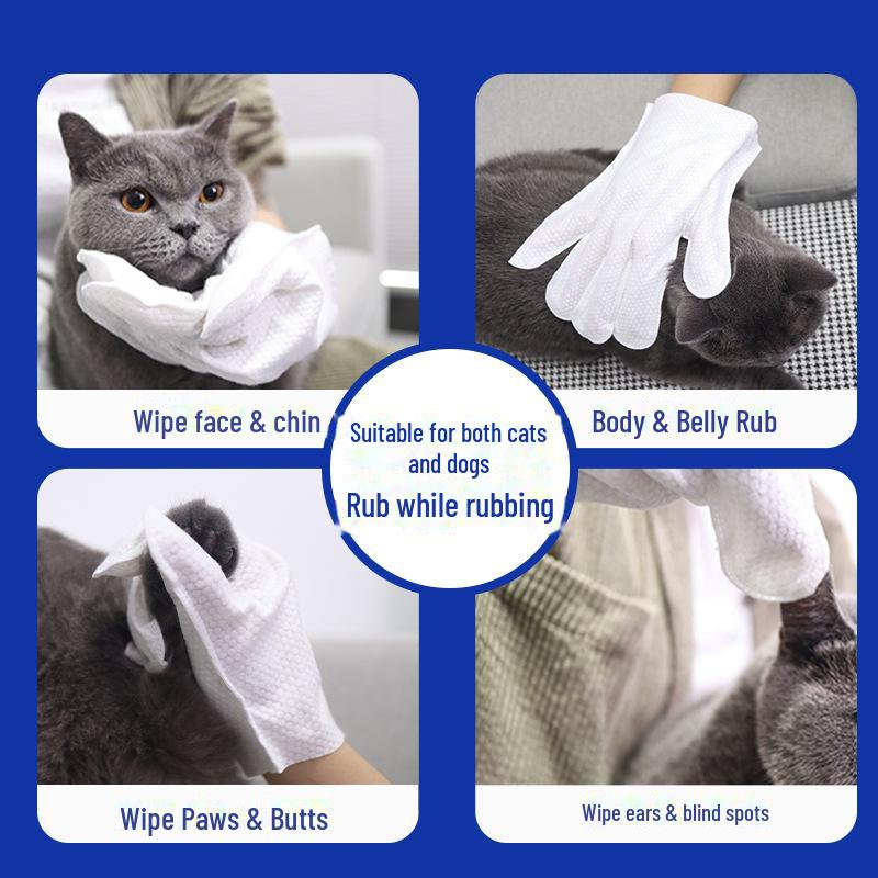Pet Cleaning Disposable Wet Wipes and Gloves: Deodorizing Care for Cats and Dogs