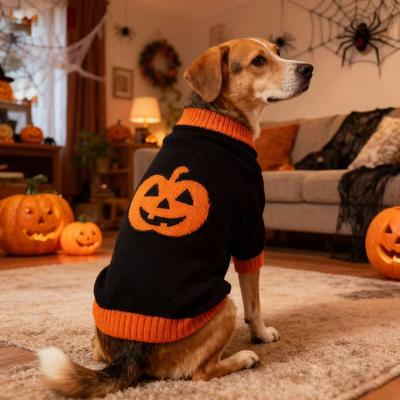 Vêtements et chaussures – Pulls pour chiens