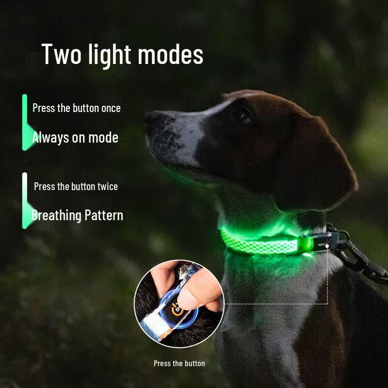 DOGNESS LED Light-Up Dog Collar