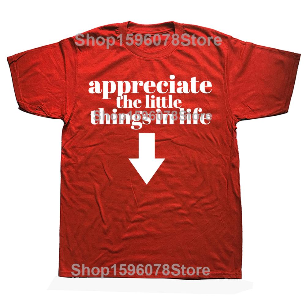 Appreciate The Little Things In Life Arrow Funny Adult Joke Graphic T-shirts Men Tshirt 100% Cotton Loose Oversized T Shirt