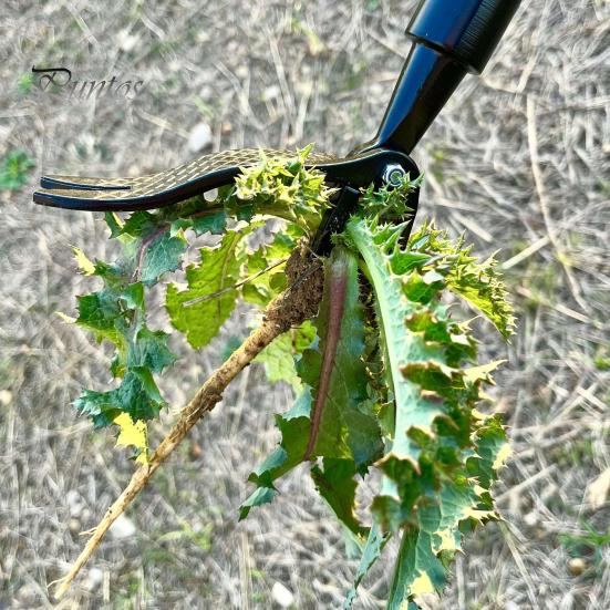 Detachable Weed Puller Set Stand Up Weeding Tool Metal Heavy Duty Weed Remover with Long Handle And Claw for Gardens Lawns