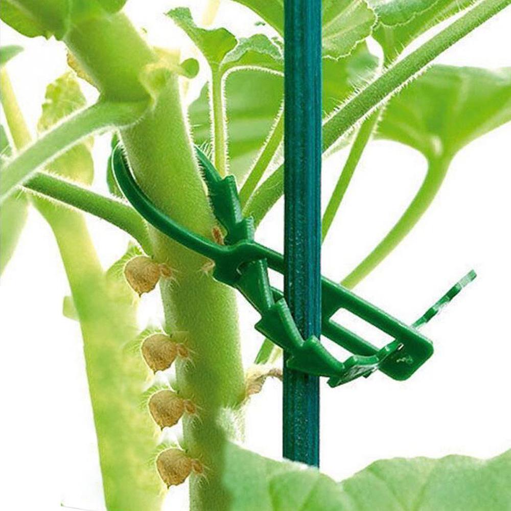 Tree Garden Tool Greenhouse Climbing Vine Clamp Fixed Buckles Plant Support Clip Cable Ties