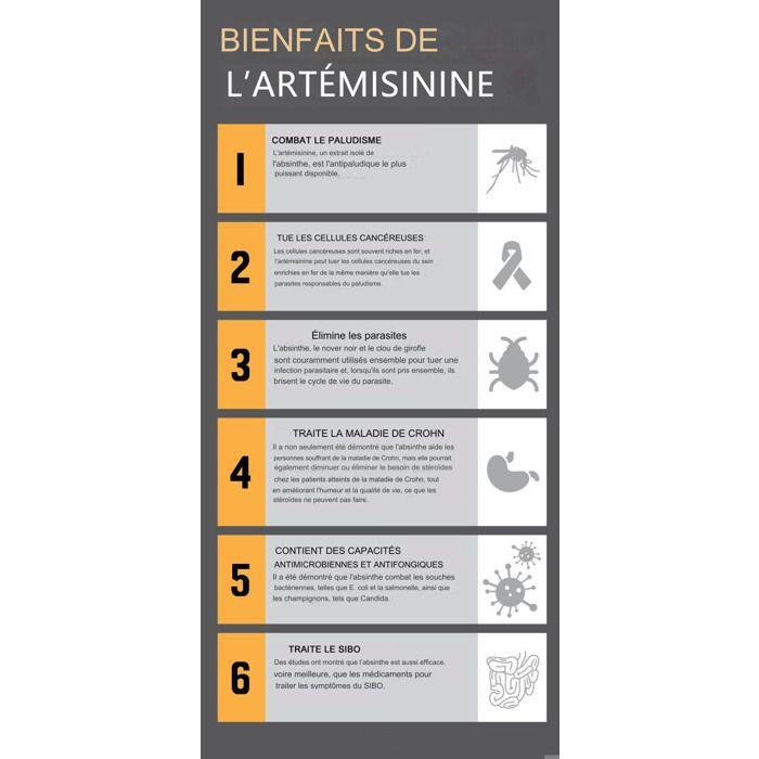 Complément Alimentaire Herbal D-tox Infusion Renforcement de L'organisme Artémisinine ~ Armoise Pure, Artemisia Annua L 180 sachets
