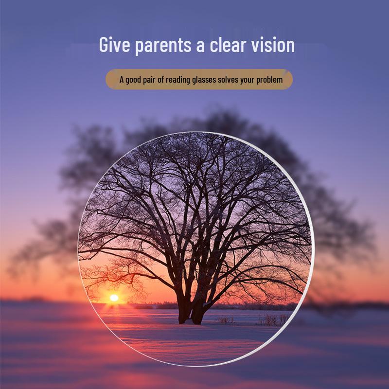 2024 Large Frame Anti-Blue Light Reading Glasses for Seniors, Metal Full Frame, Resin Lenses, Model 656