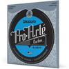 D'Addario Daddario Струни для класичної гітари Pro Arte Carbon Hard EJ46FF [Оригінал для внутрішнього ринку]