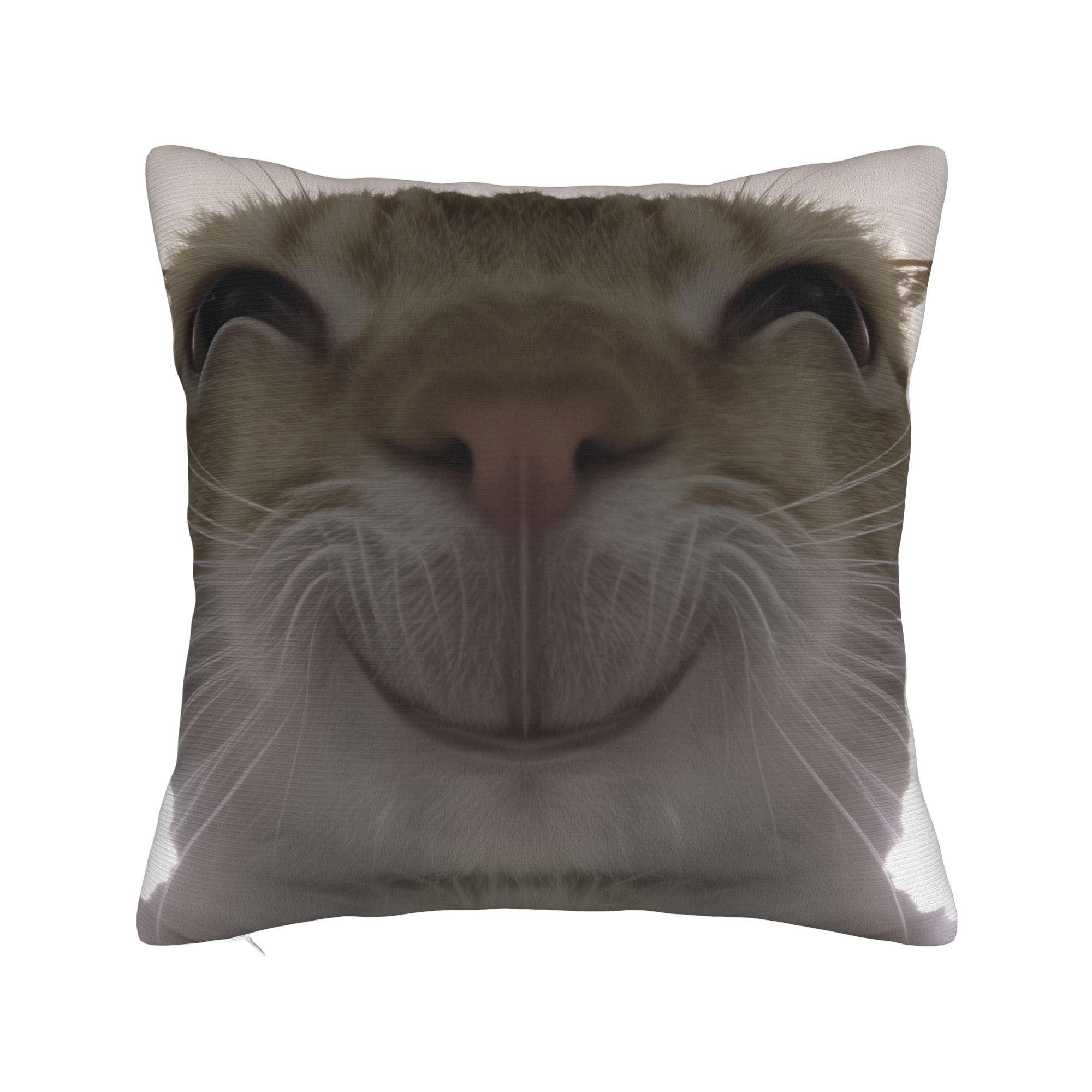 

Pet Cat Funny memes Pillow Case Graphic Pillow Cover For Sofa Couch Bed Living Room Kawaii Pillowcases 12x12Inch