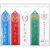 Award Ribbon Organizer Sleeves, Award Ribbon Holder, Swim Ribbon Holder Ribbon Display Clear Pages Sheets Ribbon Organizer for 3 Ring Binder Storage