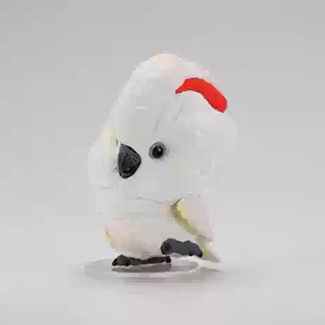Authentic Animal Planet Heart Wide Body Fat Series Parrot Surprise Blind Box 2Nd Generation Special Edition Collectible Toy Gift