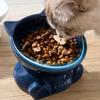Ceramic Tall Footed Cats Bowls, Anti Overturning Oblique Mouth Neck Protection Cat Ear Shape Bowl Pet Articles, 1Pc