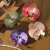 5/10Pcs Silk Butterfly Orchid Artificial Flowers For Home Room Decoration Wedding Decor DIY Hair Cards Children Shooting Props