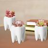 1Pcs Dente em forma de vaso de cerâmica para mesa, decoração para casa, vaso de cacto fofo, vaso de flores, suculentas, viveiro de plantas, bacia de mesa Va L5L0