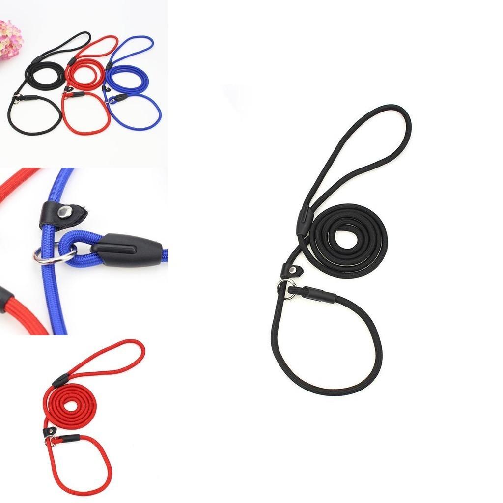 Stylish Dog Leash Fashionable And Sturdy Pet Leash Available In Multiple Vibrant Colors